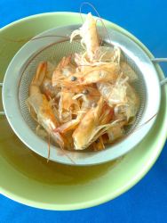 3 colar cascara gambas