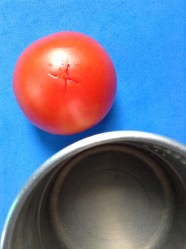 1 escaldar tomate