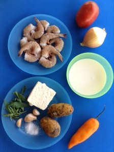 cauche de camarones ingr