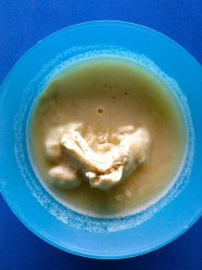 4 preparar tortillas de maíz