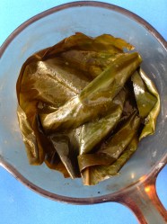 16 cubrir con achira