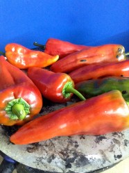 3 poner los pimientos en la placa