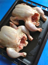 1 untar aceite y colocar pollos